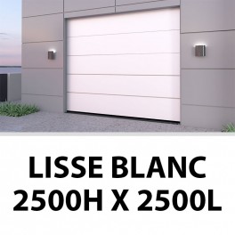 Porte de garage sectionnelle lisse blanc 2500Hx2500L
